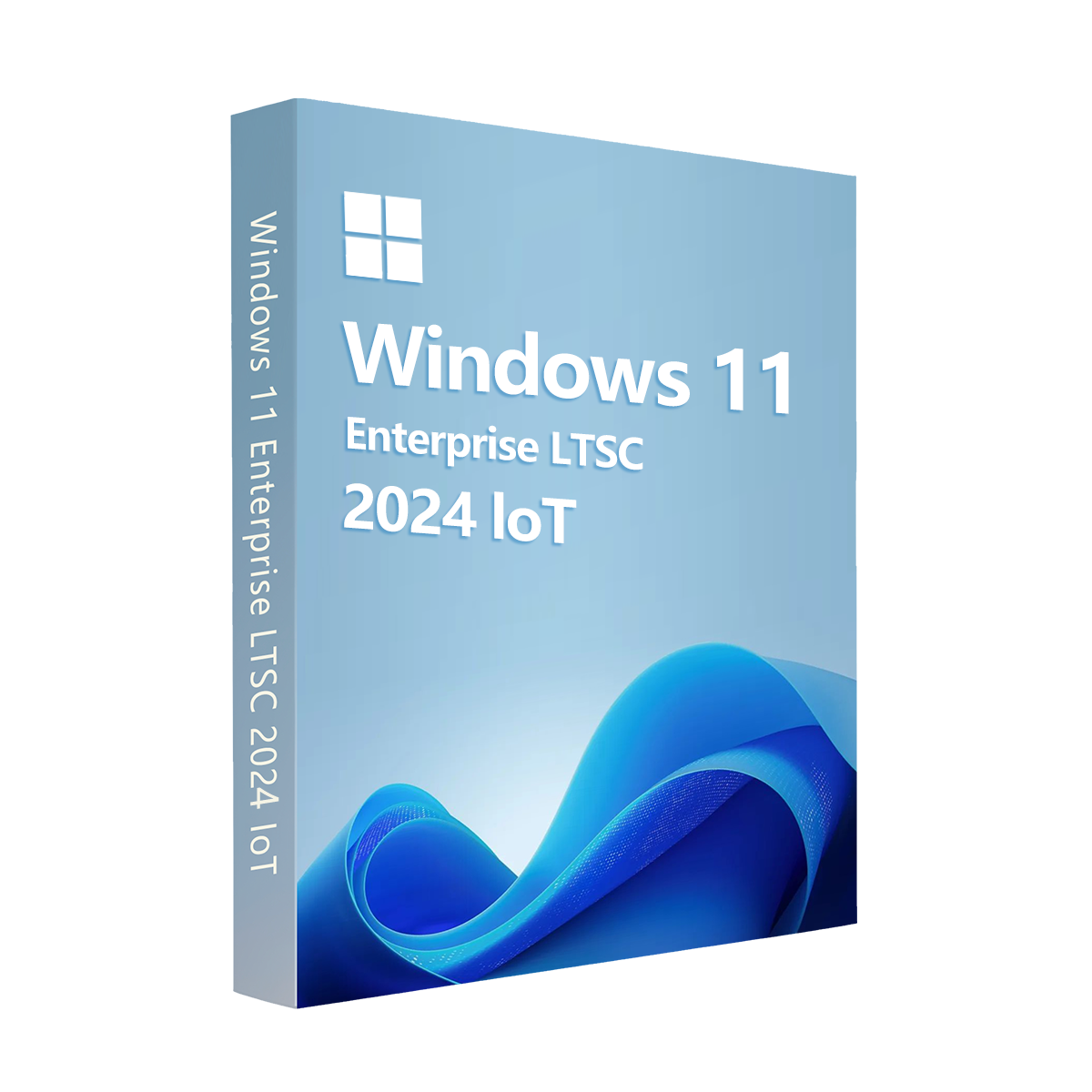 MS Win 11 IoT Enterprise LTSC 2024 Edition  CD  Key