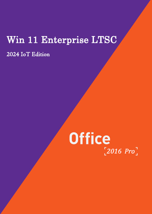 MS Win 11 Enterprise LTSC 2024 IoT Edition +MS Office2016 Professional Plus CD Keys Pack