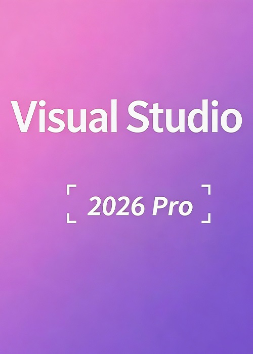 MS Visual Studio 2026 Professional CD Key Global
